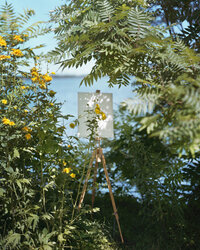 alec-soth-tableau-dans-les-arbres