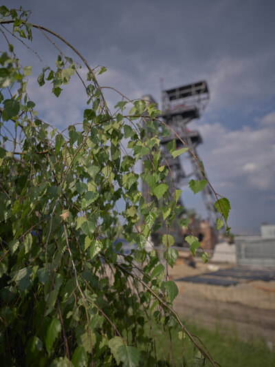chevalet-mine-au-loin