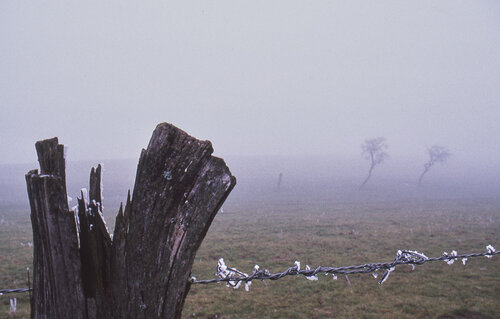 Givre sur la route de Sorbey