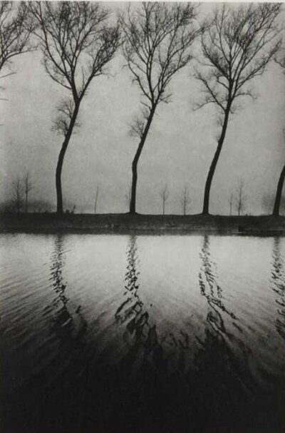Jeanloup Sieff - Arbres le long de la rivière Paysage