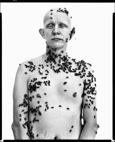 Ronald Fischer - Beekeeper - Richard Avedon