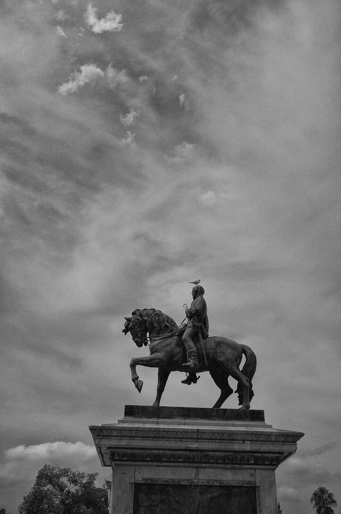 horse