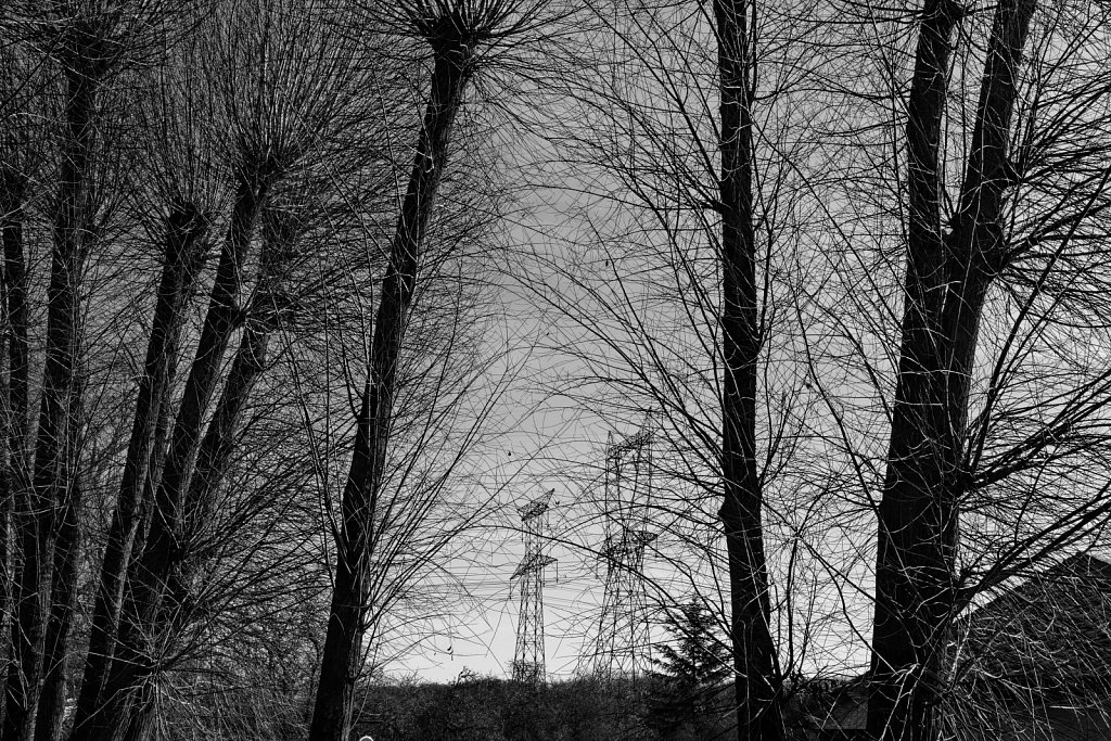bataille
