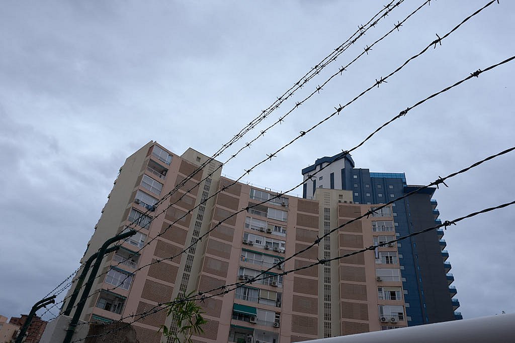 DSF1274.jpg