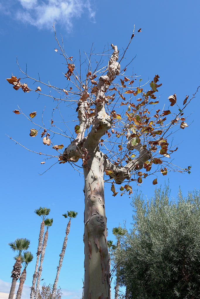 <img alt="" src="/user/pages/02.parenthese/_DSF1223.jpg?name" />