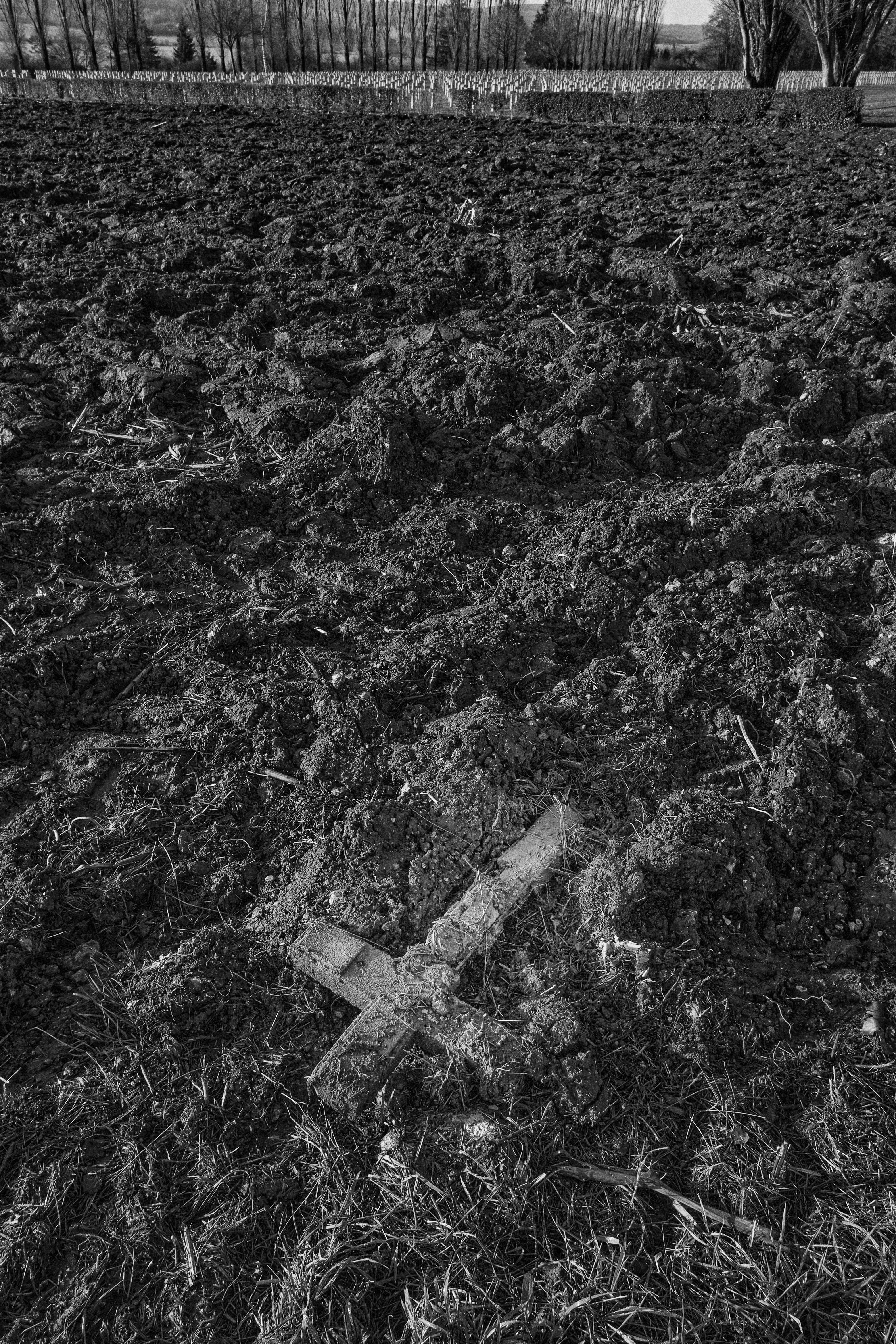 <img alt="" src="/user/pages/03.zone-rouge/_DSF1732.jpg?name" />