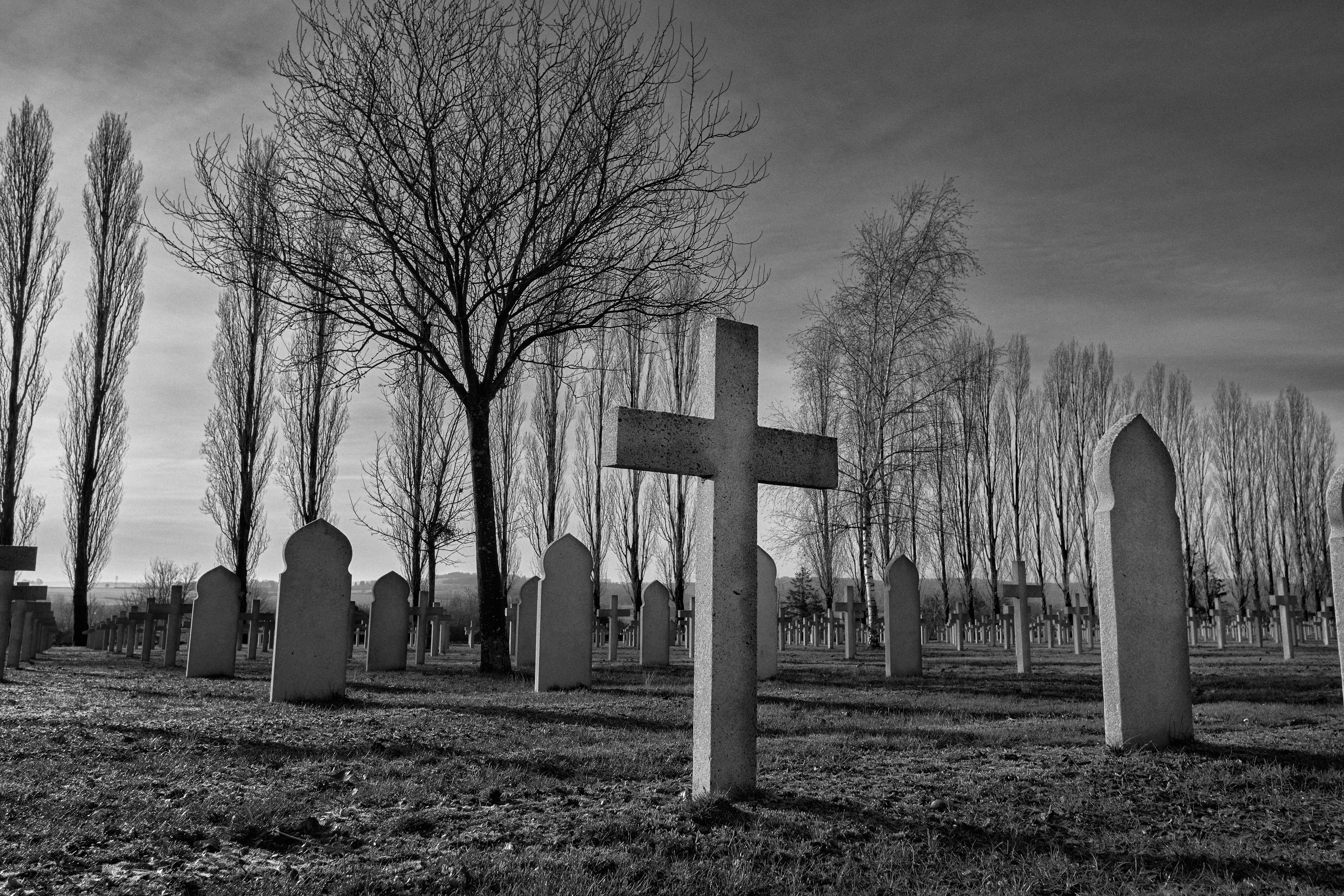 <img alt="" src="/user/pages/03.zone-rouge/_DSF1739.jpg?name" />