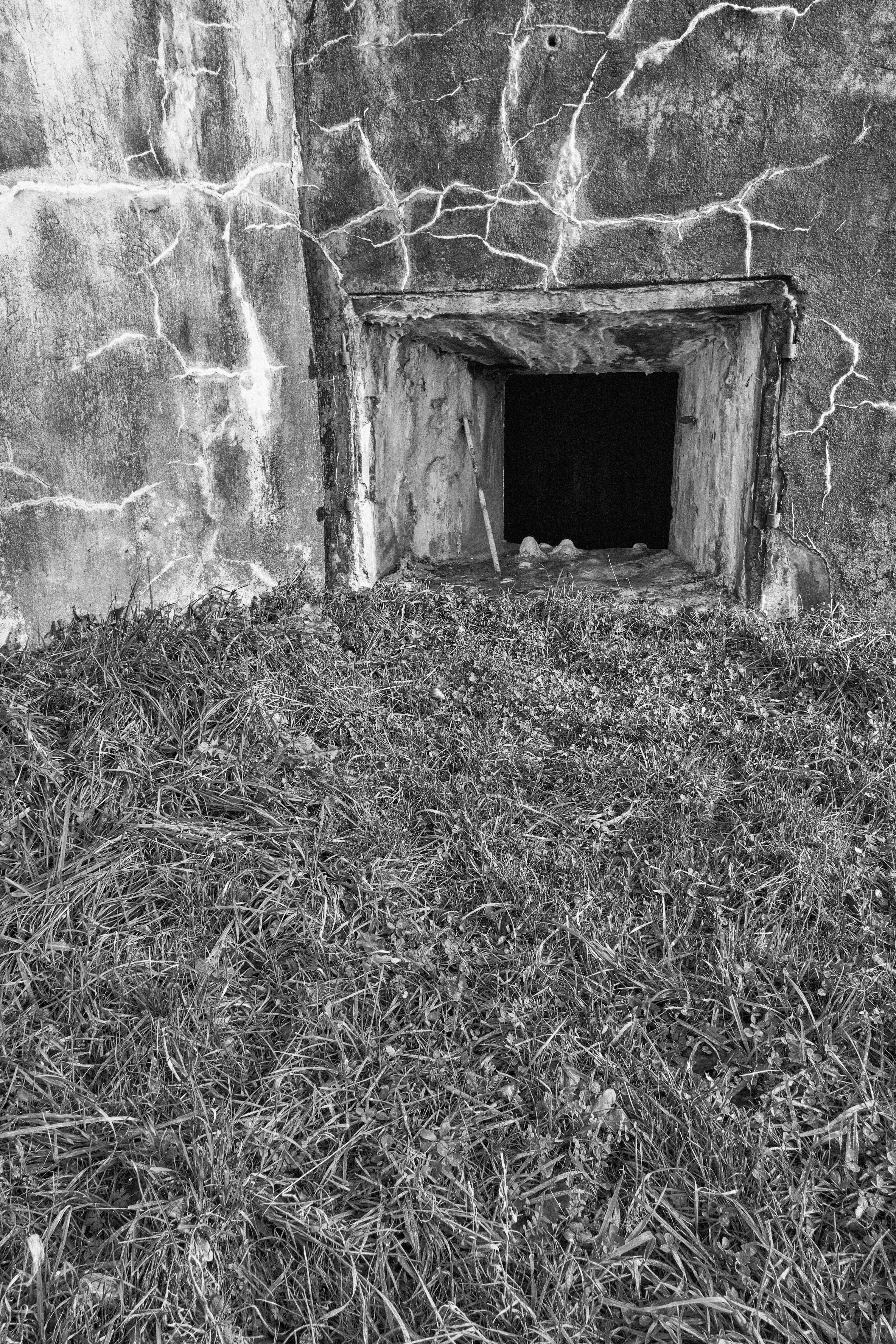 <img alt="" src="/user/pages/03.zone-rouge/_DSF1818.jpg?name" />