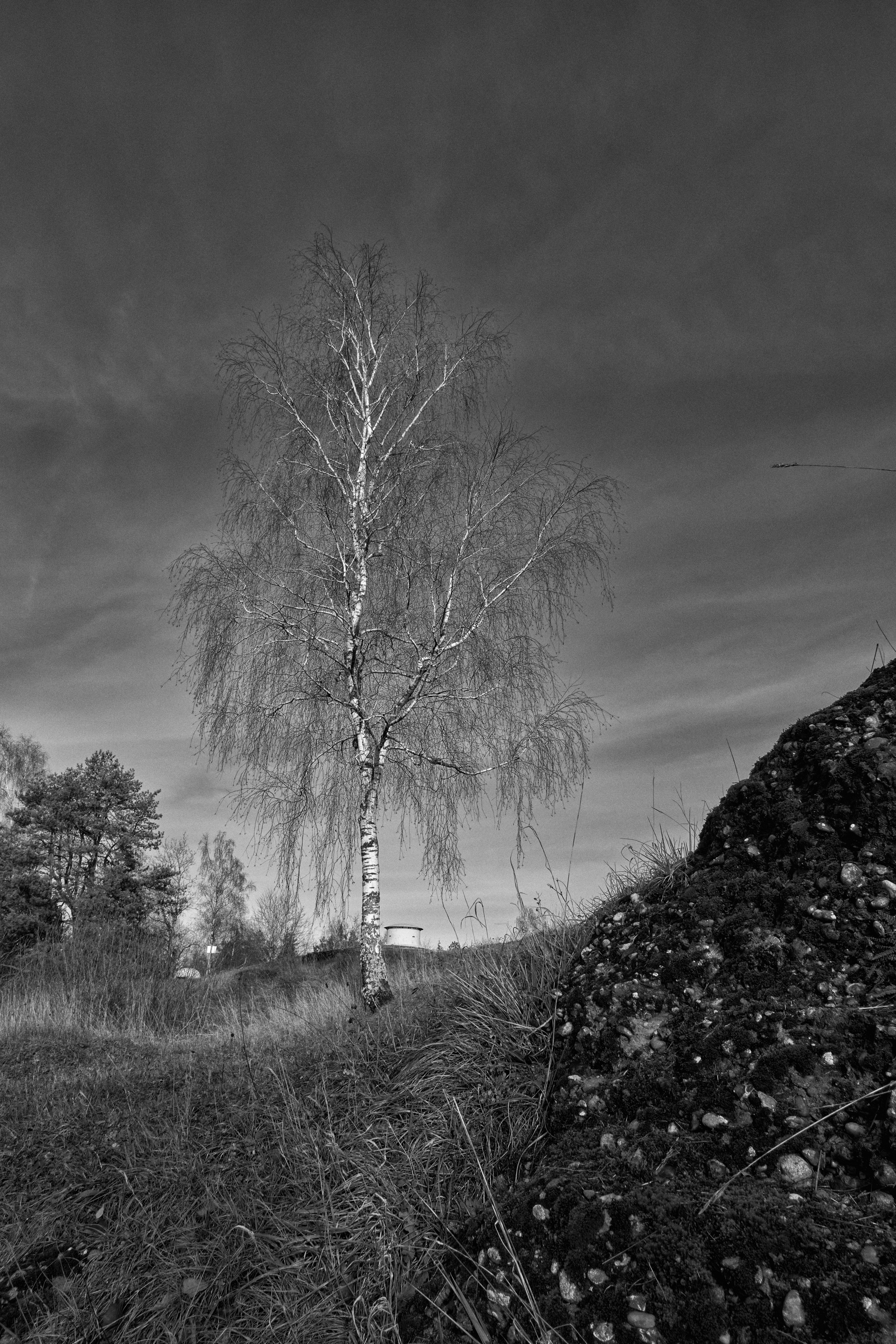 <img alt="" src="/user/pages/03.zone-rouge/_DSF1820.jpg?name" />