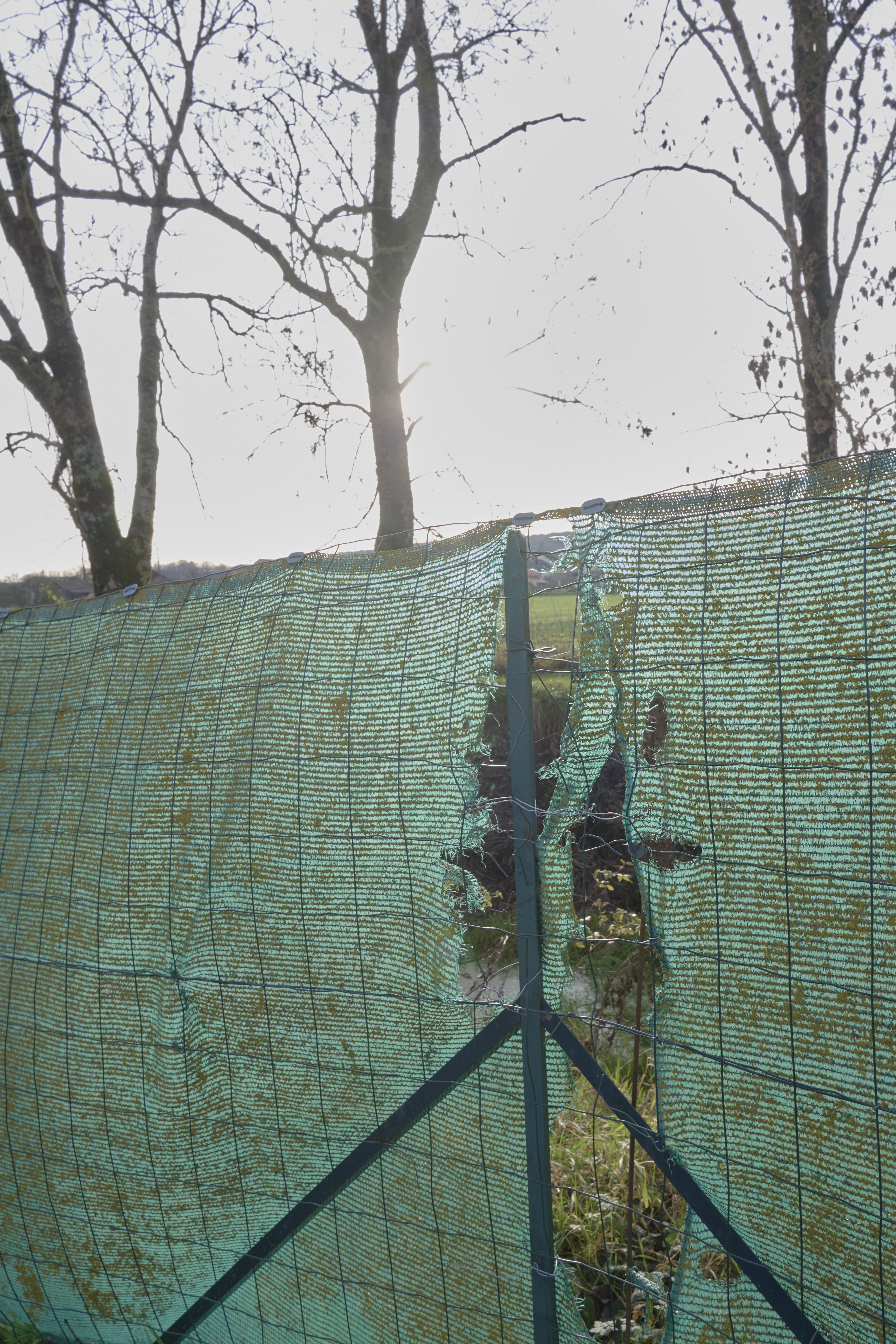 <img alt="" src="/user/pages/03.zone-rouge/_DSF1963.jpg?name" />