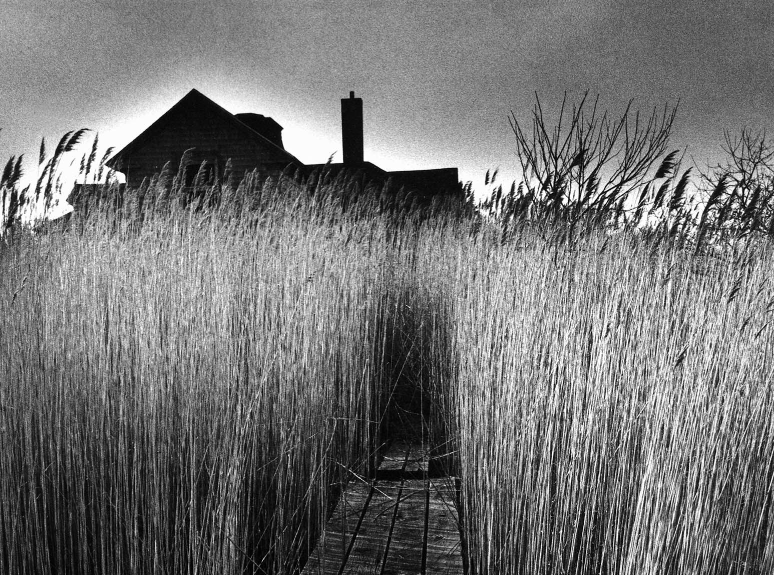 Maison au bord de l'étang